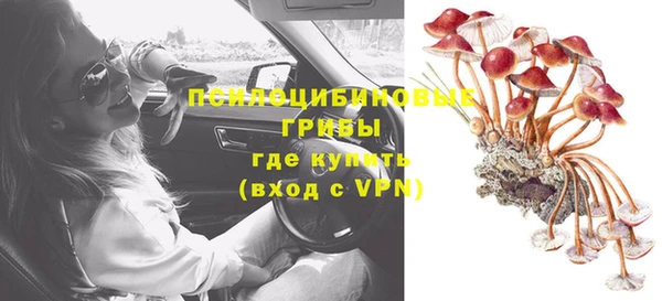 стафф Аркадак