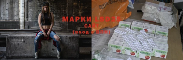 стафф Аркадак