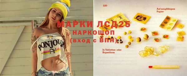 стафф Аркадак