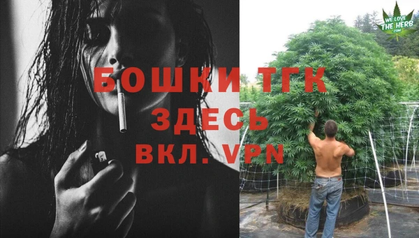 стафф Аркадак