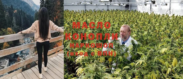 стафф Аркадак